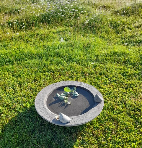 Vogelbad vogeltränke 40cm - vogelbad,