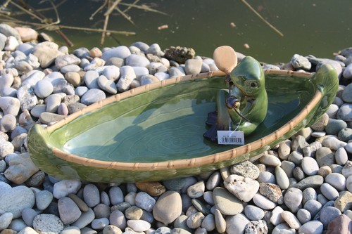 Vogeltränke frosch kanu - frosch, im