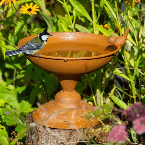 Vogeltränke auf sockel - vogeltränke,
